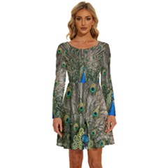 Peacock-feathers1 Long Sleeve Wide Neck Velvet Dress