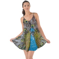 Peacock-feathers2 Love The Sun Cover Up