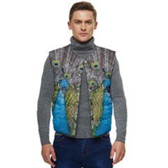 Peacock-feathers2 Men s Button Up Puffer Vest	