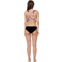 Independence Day United States Of America Low Cut Ruffle Edge Bikini Top View4