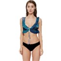 Aurora Borealis Mountain Reflection Low Cut Ruffle Edge Bikini Top View1