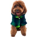 Iceland Aurora Borealis Dog Coat View1