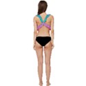Pink And Turquoise Glitter Low Cut Ruffle Edge Bikini Top View4