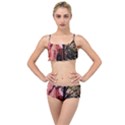 Hot Day In  Dallas-6 Layered Top Bikini Set View1