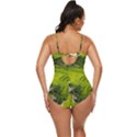 Apartment Curve Path Step Retro Full Coverage Swimsuit View4