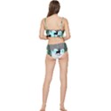 Rocky Mountain High Colorado Frilly Bikini Set View2