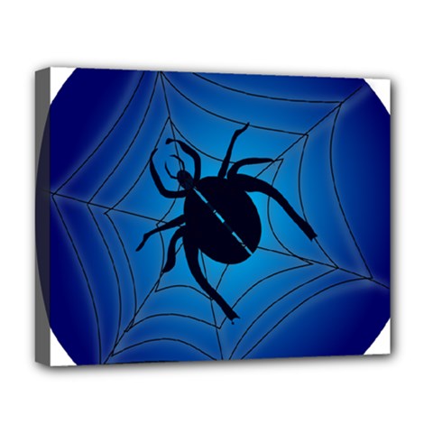 Spider On Web Deluxe Canvas 20  X 16  (stretched)