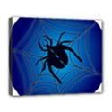 Spider On Web Deluxe Canvas 20  x 16  (Stretched) View1