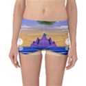 Vector Graphic Clipart Mountains Reversible Boyleg Bikini Bottoms View3