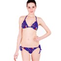 Rabbit Hearts Texture Seamless Pattern Classic Bikini Set View3