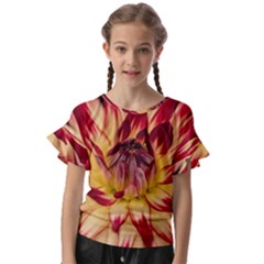 Bloom Blossom Close Up Flora Kids  Cut Out Flutter Sleeves