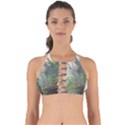 Peafowl Peacock Bird Birds Painting Art Wildlife Perfectly Cut Out Bikini Top View1