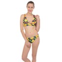 Background Geometric Color Classic Banded Bikini Set  View1