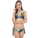 Cartoon Network Mountains Landscapes Seas Illustrations Adventure Time Rivers Tie It Up Bikini Set View1