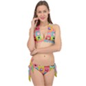 Owls Pattern Abstract Art Desenho Vector Cartoon Tie It Up Bikini Set View1