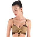Architecture Art Boxes Brown Woven Tie Front Bralet View1