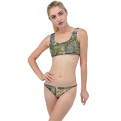 Map Illustration Gta The Little Details Bikini Set