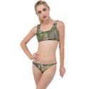 Map Illustration Gta The Little Details Bikini Set View1