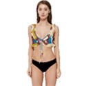 Line Vertical Lines Color Lines Low Cut Ruffle Edge Bikini Top View1