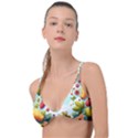 Fruits Sweet Papaya Orange Pattern Knot Up Bikini Top View1