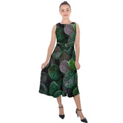 Dark Nature , Nature, Edeg Midi Tie-back Chiffon Dress