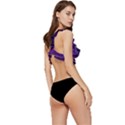 Egyptian Pyramids Night Landscape Cartoon Low Cut Ruffle Edge Bikini Top View3