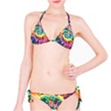 Grateful Dead Bears Tie Dye Vibrant Spiral Classic Bikini Set View1