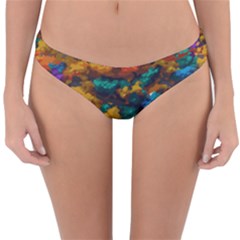 Color-for-a-line Reversible Hipster Bikini Bottoms