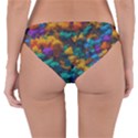 Color-for-a-line Reversible Hipster Bikini Bottoms View2