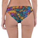 Color-for-a-line Reversible Hipster Bikini Bottoms View4