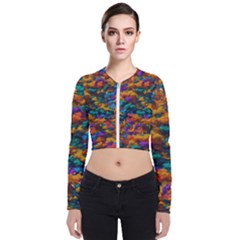 Color-for-a-line Long Sleeve Zip Up Bomber Jacket
