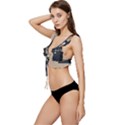 Tardis Doctor Who Minimal Minimalism Low Cut Ruffle Edge Bikini Top View2