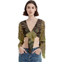 Peacock Feathers Wheel Plumage Trumpet Sleeve Cropped Top View1