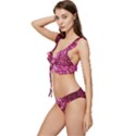 Pink Glitter Low Cut Ruffle Edge Bikini Set View2