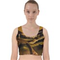 Bridge Of Regret Velvet Racer Back Crop Top View1