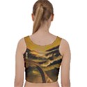 Bridge Of Regret Velvet Racer Back Crop Top View2