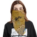 Vintage Map Of The World Continent Face Covering Bandana (Triangle) View1