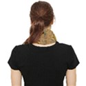 Vintage Map Of The World Continent Face Covering Bandana (Triangle) View2