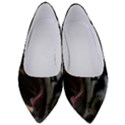 Angry Tiger Roar Women s Low Heels View1