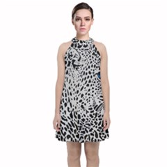 Leopard In Art, Animal, Graphic, Illusion Velvet Halter Neckline Dress 
