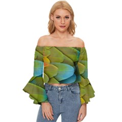Parrot Feathers Texture Feathers Backgrounds Off Shoulder Flutter Bell Sleeve Top