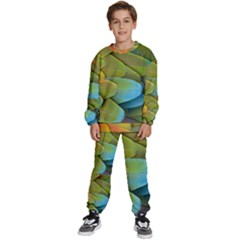 Parrot Feathers Texture Feathers Backgrounds Kids  Sweatshirt Set