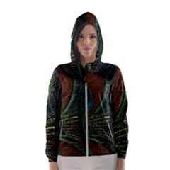Peacock Feathers, Feathers, Peacock Nice Women s Hooded Windbreaker