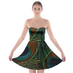 Peacock Feathers, Feathers, Peacock Nice Strapless Bra Top Dress