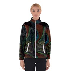 Peacock Feathers, Feathers, Peacock Nice Women s Bomber Jacket