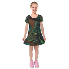 Peacock Feathers, Feathers, Peacock Nice Kids  Short Sleeve Velvet Dress