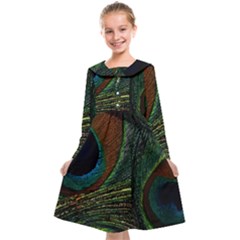 Peacock Feathers, Feathers, Peacock Nice Kids  Midi Sailor Dress