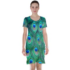 Peacock Feathers, Bonito, Bird, Blue, Colorful, Feathers Short Sleeve Nightdress