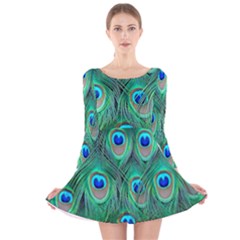 Peacock Feathers, Bonito, Bird, Blue, Colorful, Feathers Long Sleeve Velvet Skater Dress