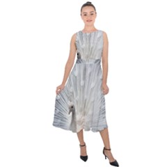 White Feathers, Animal, Bird, Feather, Peacock Midi Tie-back Chiffon Dress